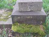 image of grave number 826699